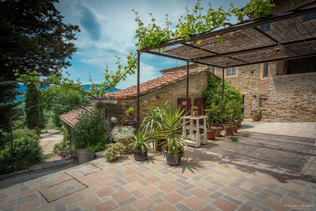 Agriturismo Corzano Barberino di Mugello Zewnętrze zdjęcie