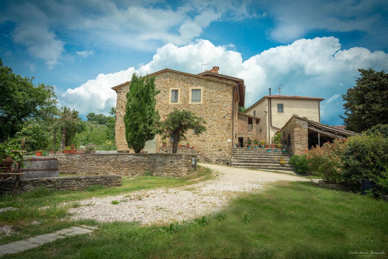 Agriturismo Corzano Barberino di Mugello Zewnętrze zdjęcie