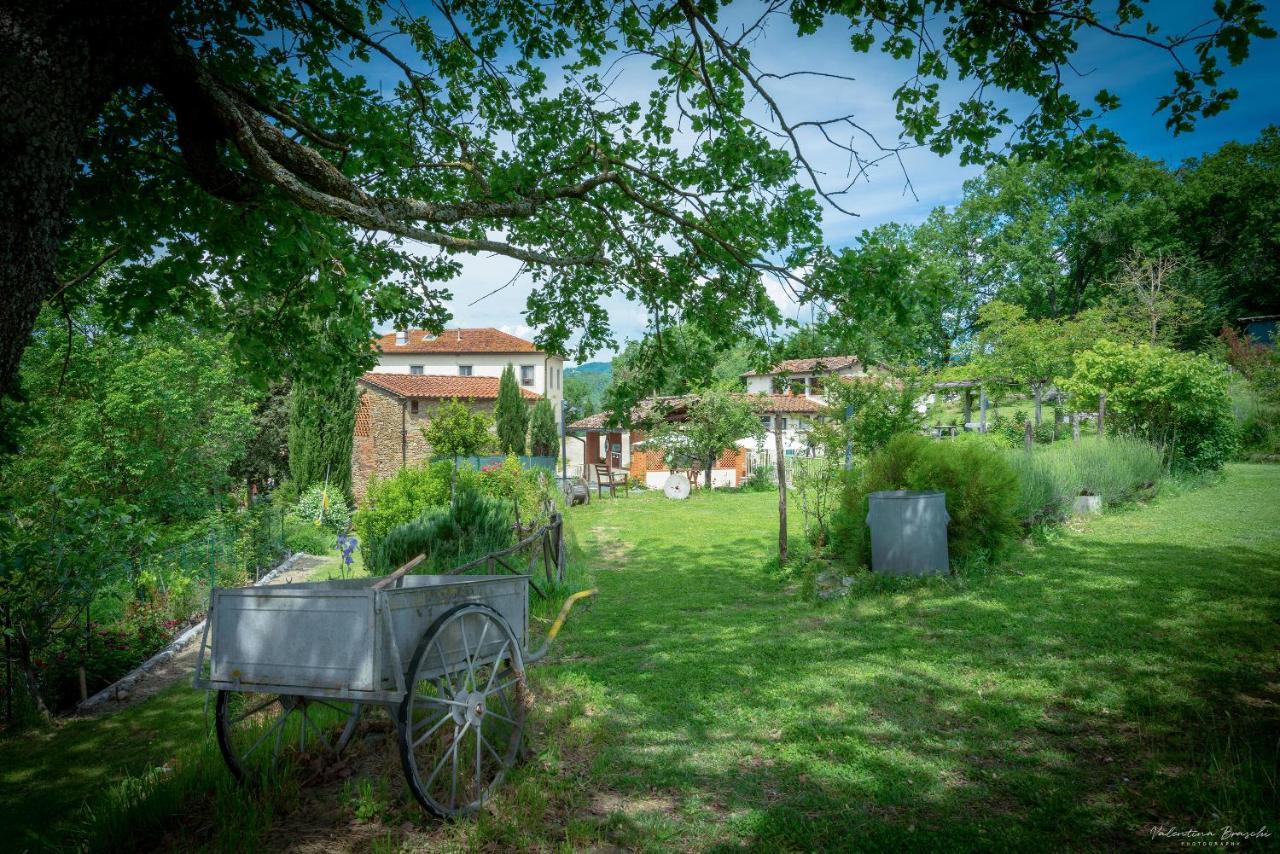 Agriturismo Corzano Barberino di Mugello Zewnętrze zdjęcie
