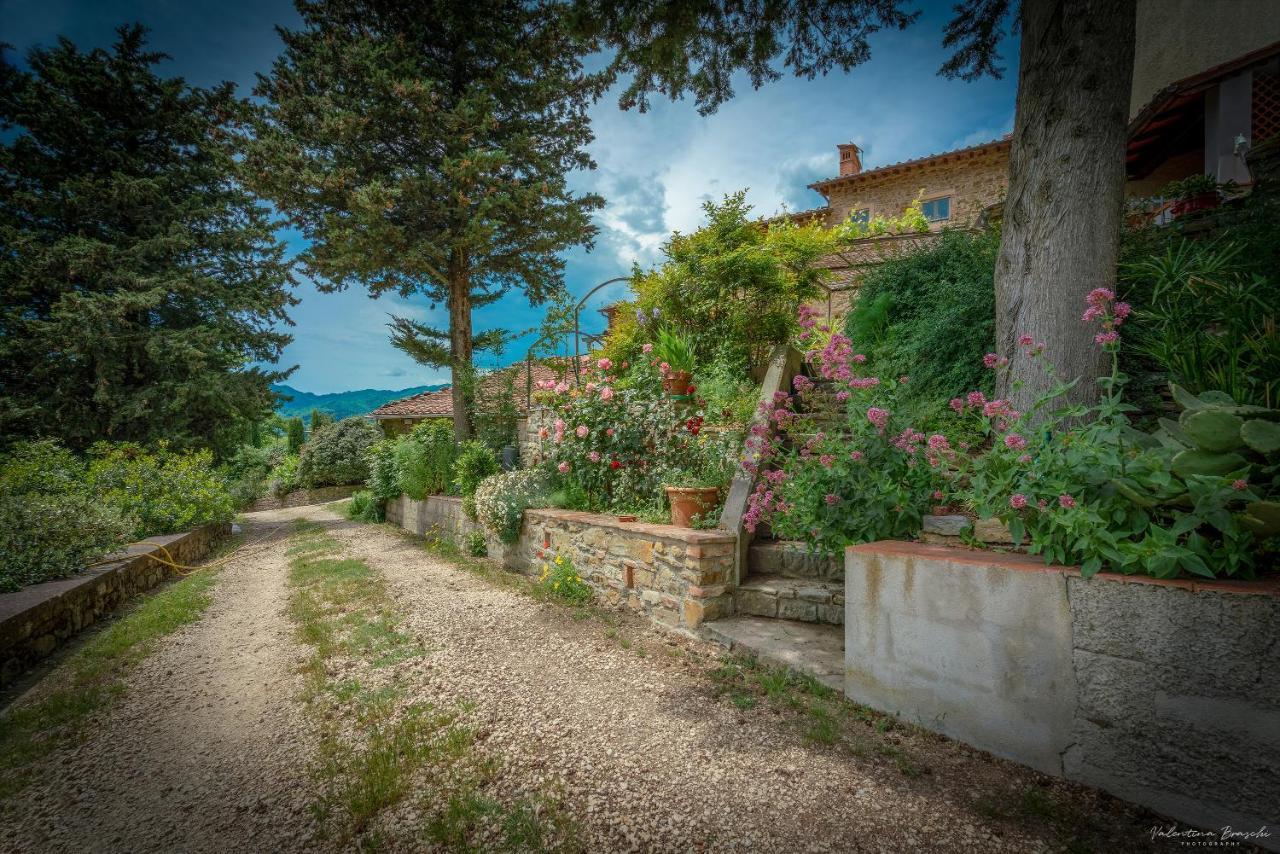 Agriturismo Corzano Barberino di Mugello Zewnętrze zdjęcie